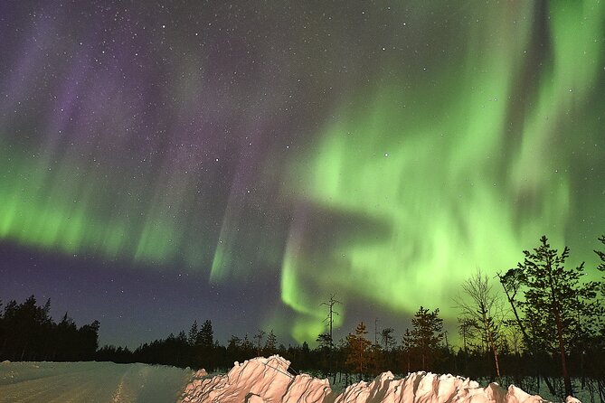 Lapland In A Day - Reindeer, Sledding, Snowmobile & Nature - A smooth ride behind a snowmobile
