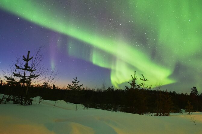 Lapland In A Day - Reindeer, Sledding, Snowmobile & Nature - The lantern-lit forest trail