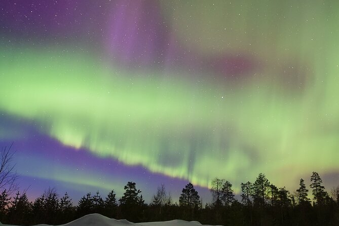 Lapland In A Day - Reindeer, Sledding, Snowmobile & Nature - Lappish snacks beside an open fire
