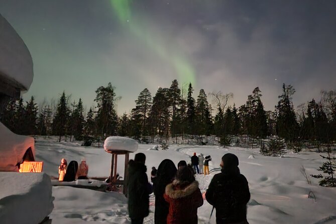 Lapland In A Day - Reindeer, Sledding, Snowmobile & Nature - Northern Lights: A pleasant possibility, not the main promise