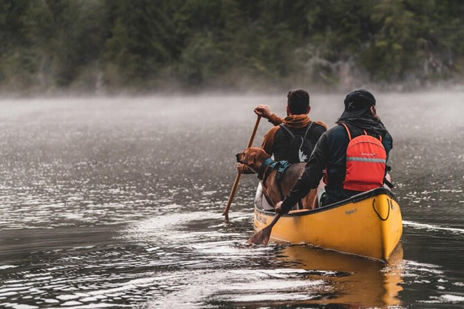 Lapland Kayak Adventure in Rovaniemi - Wildlife, quiet pauses, and a possible swim