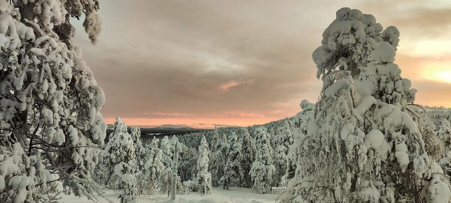 Lapland: Private Snowmobile Safari with arctic Local Guide - Why a private snowmobile ride changes the day