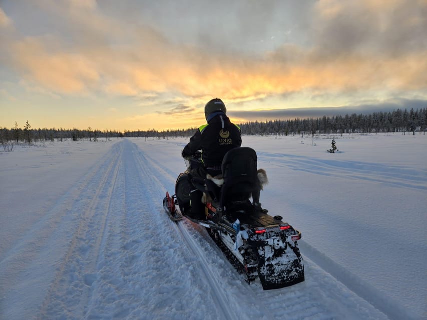 Lapland: Private Snowmobile Safari with arctic Local Guide - Sharing a snowmobile with your family