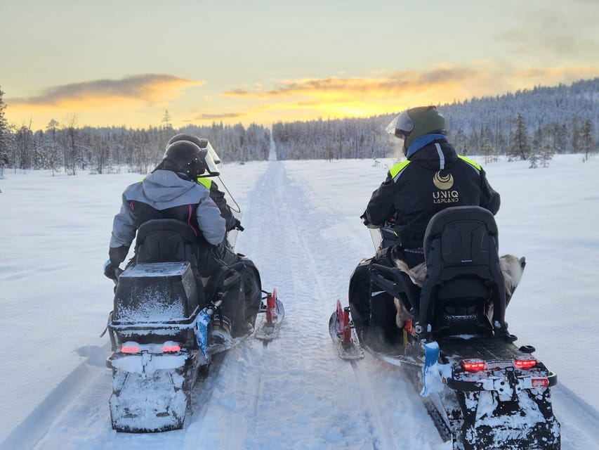Lapland: Private Snowmobile Safari with arctic Local Guide - Who should book this Luosto experience?