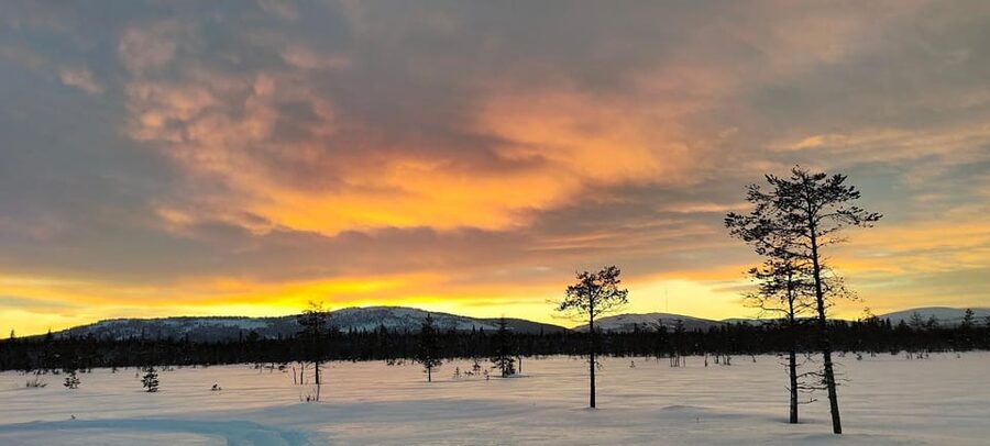 Lapland: Private Snowmobile Safari with arctic Local Guide - Meeting in Luosto and getting ready