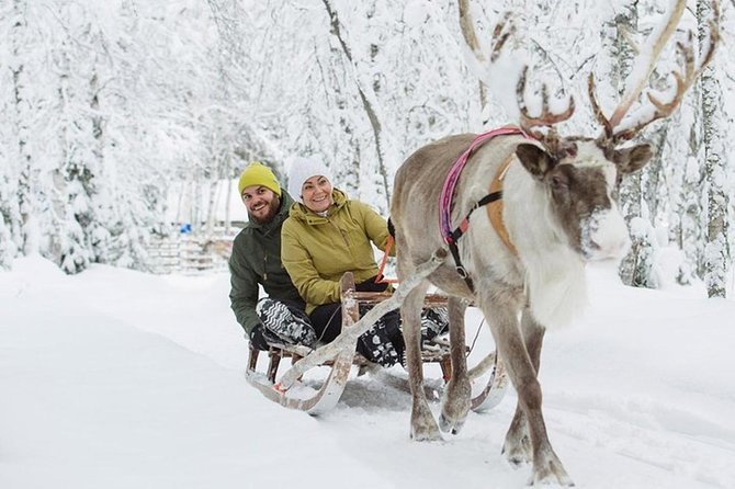 Lapland Reindeer and Husky Safari from Levi - A quiet ride at the reindeer farm