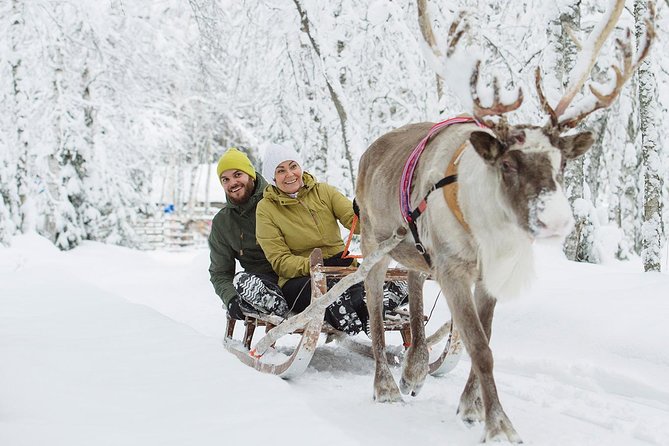 Lapland Reindeer and Husky Safari from Rovaniemi - The husky stop and the 2-kilometer sled run