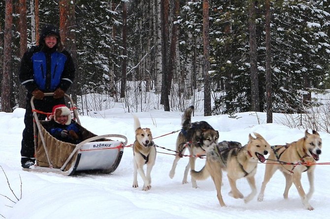 Lapland Reindeer and Husky Safari from Rovaniemi - Why the husky location matters