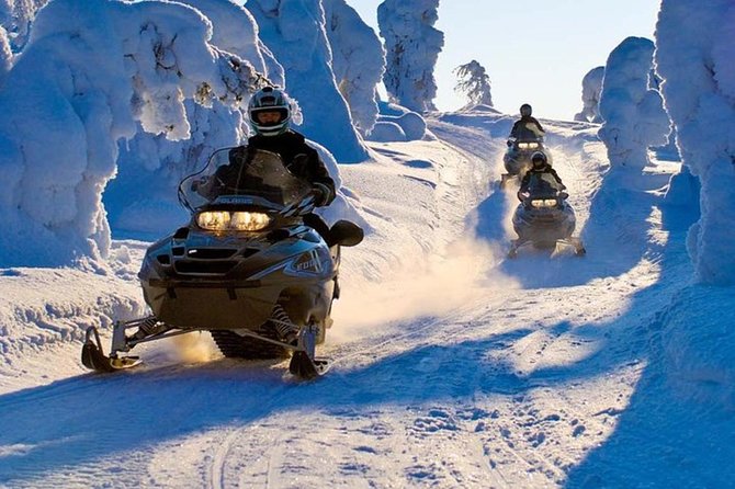 Lapland Snowmobile Safari from Levi - Key points to know before you book