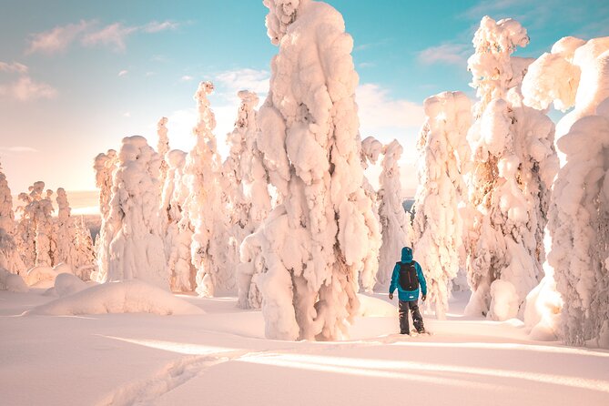 Lapland Winter Experience - Key points before you book