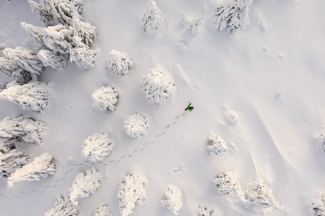 Lapland Winter Experience - Leaving Rovaniemi for the snowy forest