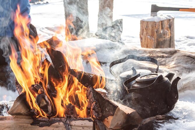 Lapland Winter Experience - Is $119.27 fair for three hours?