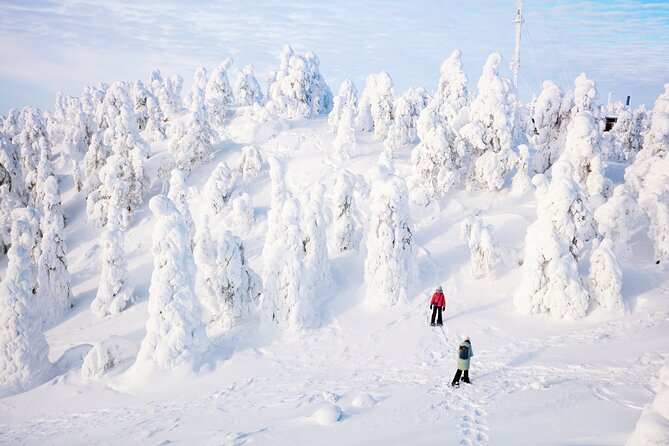 Lapland Winter Experience - Booking details worth checking twice