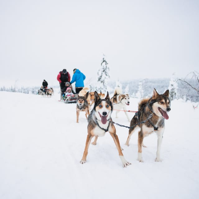 Levi: 15-Kilometres Self-Driving Husky Tour - Arriving at the husky farm in Levi