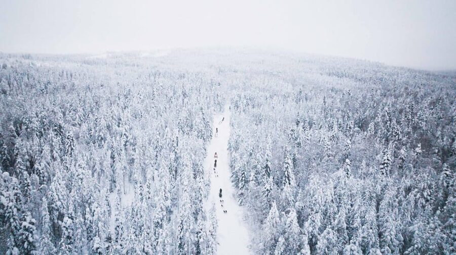Levi: 15-Kilometres Self-Driving Husky Tour - Learning to handle your own sled