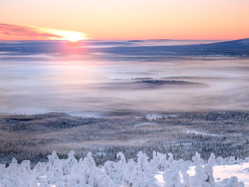 Levi: 4 Hour Snowmobile Safari to the Fells in Levi - Photo stops show the best frozen scenery