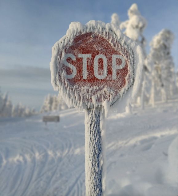Levi: 4 Hour Snowmobile Safari to the Fells in Levi - A 20-minute coffee break in a local café or Lapp tent
