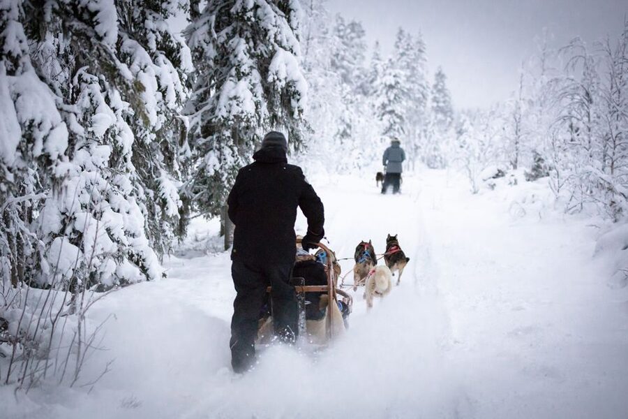 Levi: 7 km Self-Drive Husky Sledding Adventure - Why the 7-kilometer route works so well