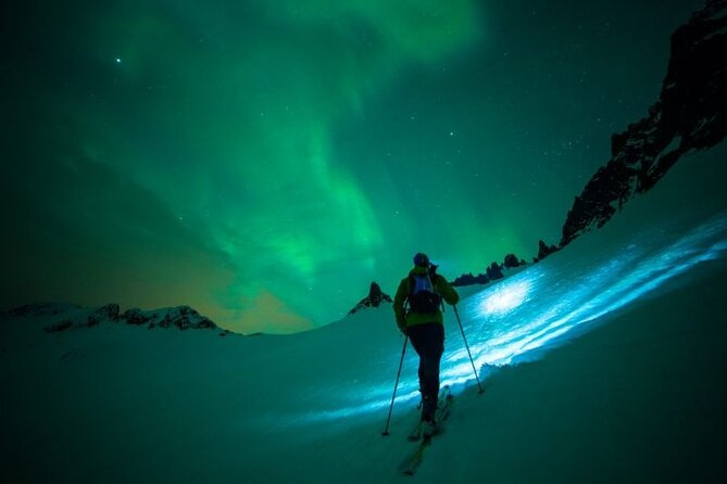 Levi: Aurora Borealis Tour and Stargazing Experience - What this Levi aurora tour is really about