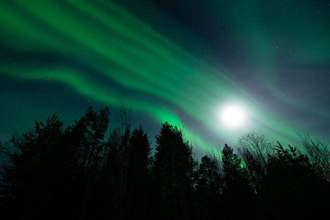 Levi: Aurora Borealis Tour and Stargazing Experience - Photography without carrying the whole job