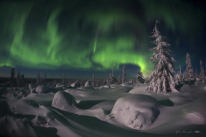 Levi: Aurora Borealis Tour and Stargazing Experience - Is $131.25 a fair price?