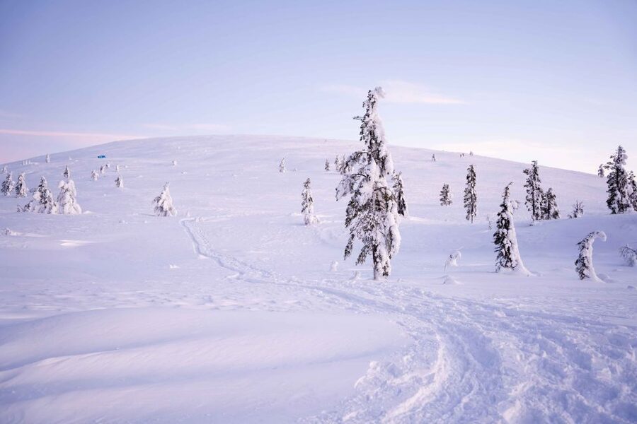 Levi: Backcountry Skiing Adventure - What this Levi outing really offers