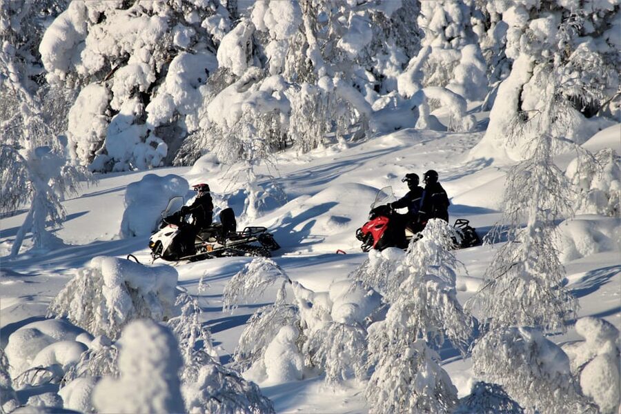 Levi: Easy Snowmobile Safari into the Nature - Riding across frozen lakes and Lapland woodland