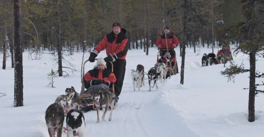 Levi: Evening Husky Sled Ride under the Northern Lights - Setting out from Hissitie 11 in Levi