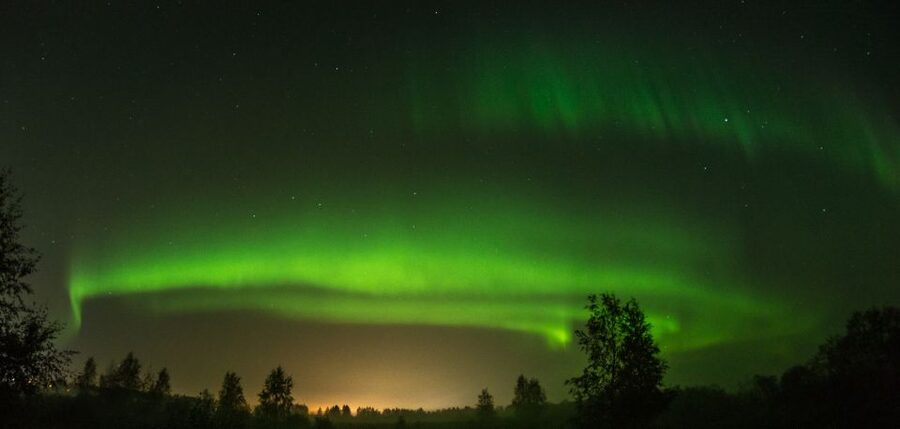 Levi: Evening Husky Sled Ride under the Northern Lights - One hour through the snowy forest
