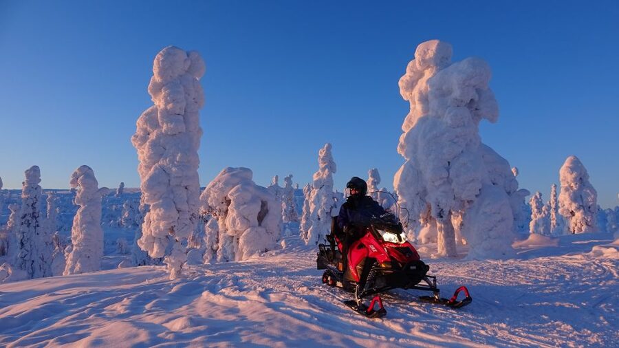 Levi: Evening Snowmobile Safari - Booking advice for timing and weather