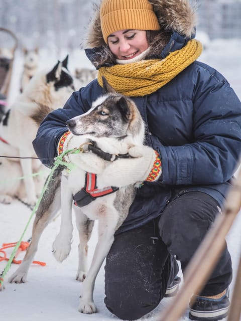 Levi: Guide-driven Husky Safari - What this Levi husky safari actually delivers