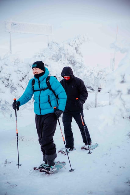 Levi: Guided Snowshoeing Adventure - Starting at Kelo Rental & Safaris Store