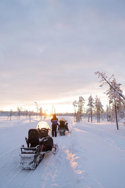 Levi: Husky and Reindeer Farm Visit with Snowmobiling - Watching the Alaskan Huskies Work