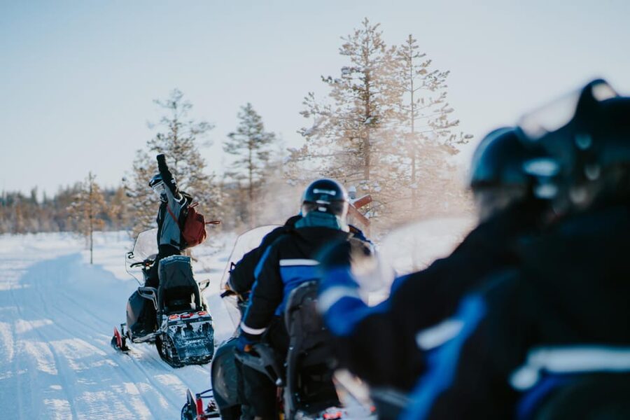 Levi: Husky and Reindeer Farm Visit with Snowmobiling - Why the Hot Berry Juice Matters