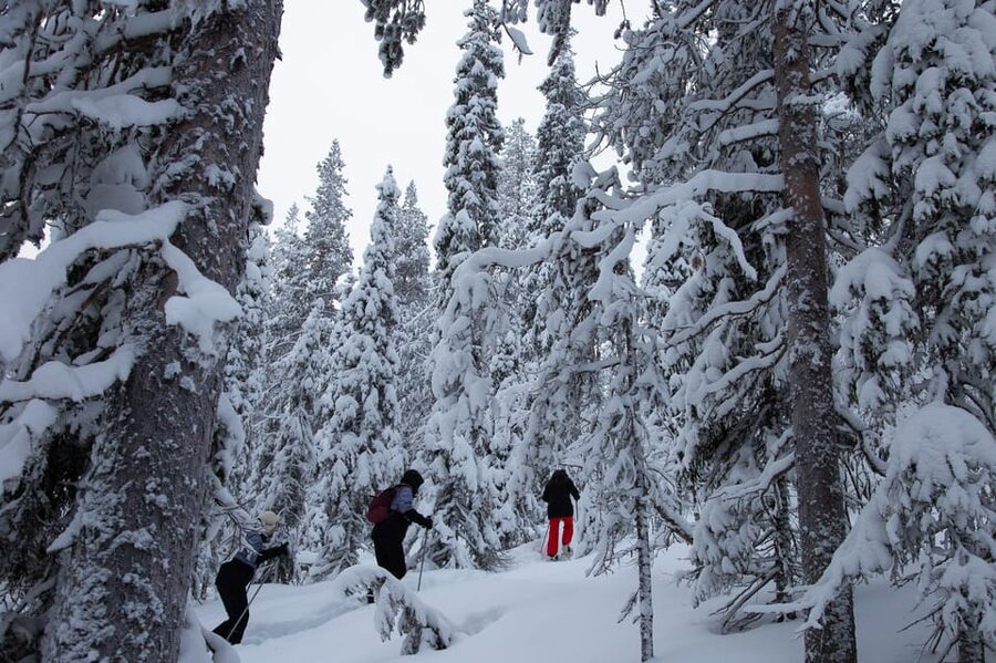 Levi: Lakeside forest snowshoeing - Meeting at Levi Tourist Information