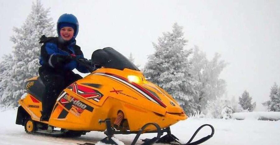 Levi: Lapland Family Snowmobile Safari - Key points to know before booking