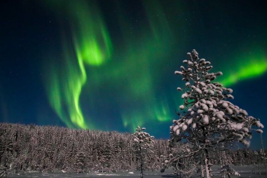 Levi: Northern Lights Campfire - Key points to know before booking