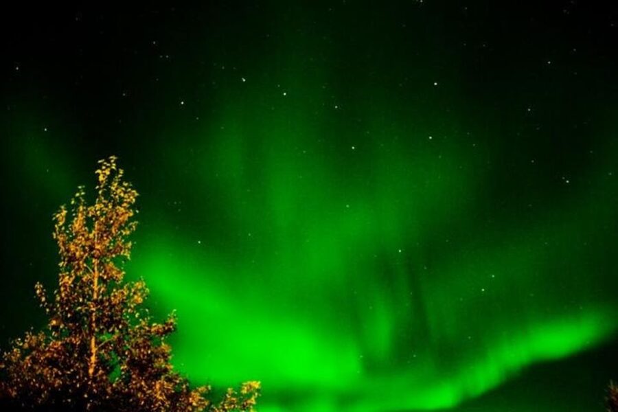 Levi: Northern Lights Hunt Including Campfire Snacks - Should you book it?