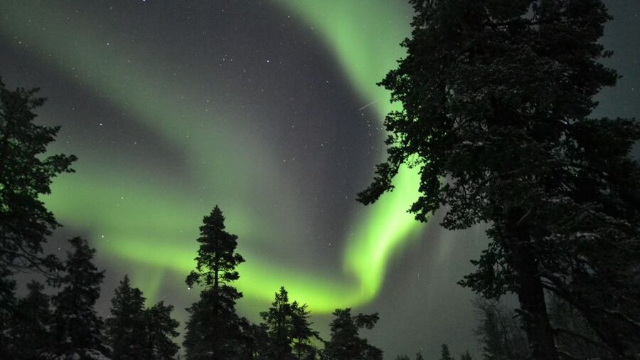 Levi: Northern Lights Snowmobile Tour with Snacks and Drinks - How much value do you get for $199?