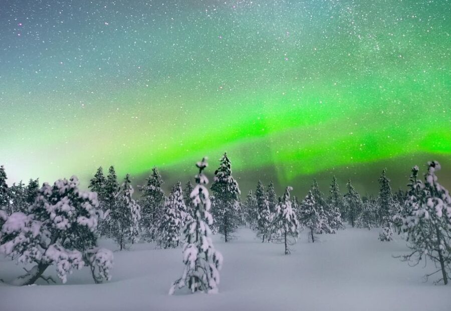 Levi: Northern Lights Snowmobile Tour with Snacks and Drinks - Who will enjoy this night ride most