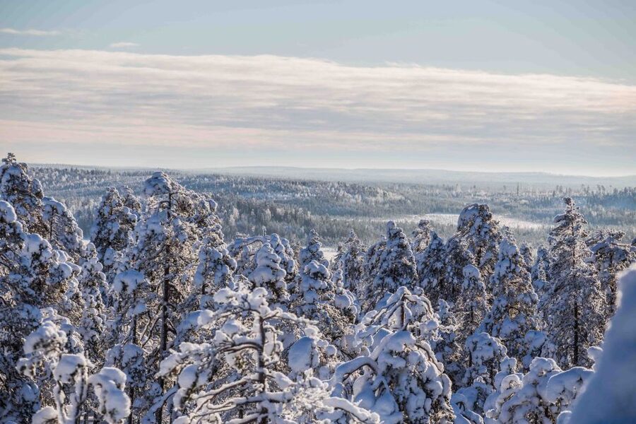 Levi: Pallas National Park Adventure with Pro Photos & BBQ - Is the $145 price fair?