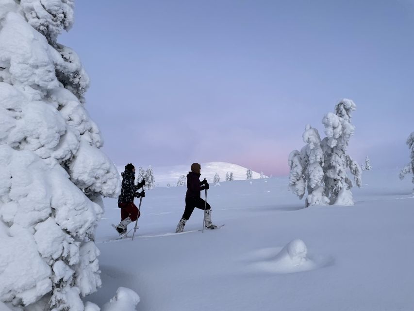 Levi: Pallas-Yllästunturi National Park Snowshoeing Tour - The Campfire Hut Break