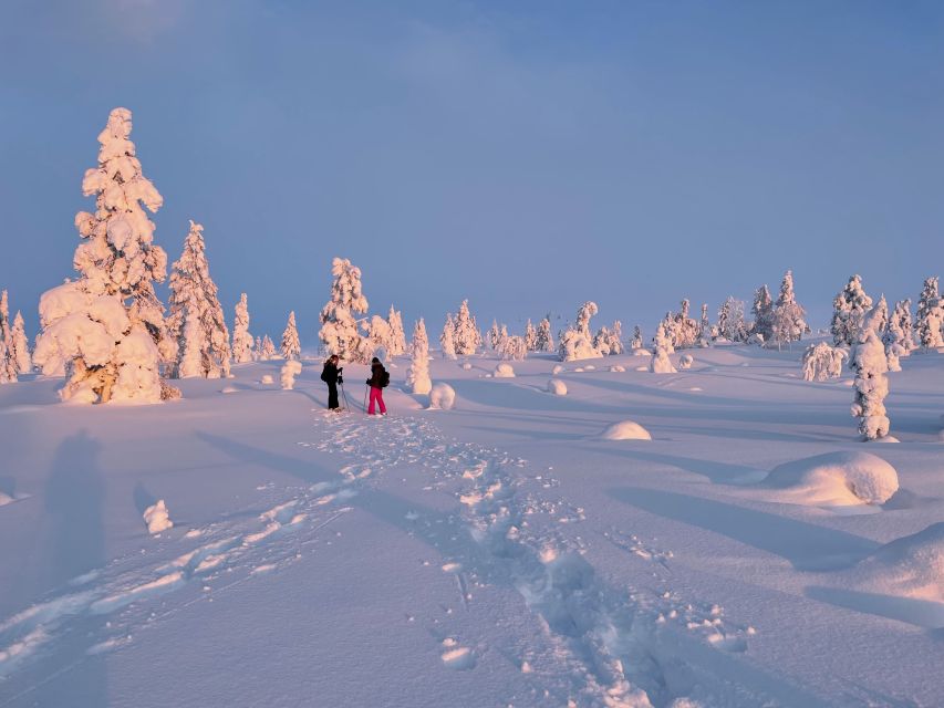 Levi: Pallas-Yllästunturi National Park Snowshoeing Tour - The Second One-Hour Walk