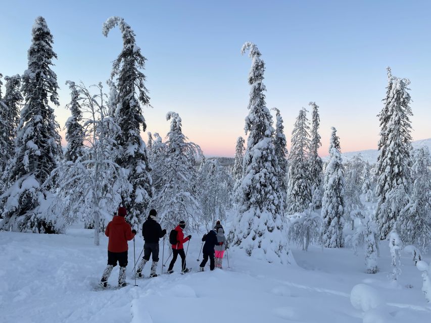 Levi: Pallas-Yllästunturi National Park Snowshoeing Tour - The Guide and Group Experience