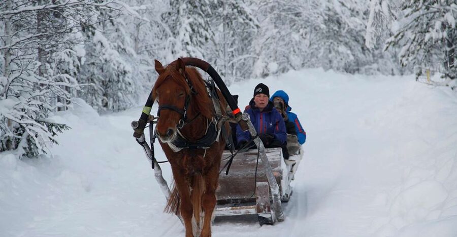 Levi, Polar Lights Tours: One Horse Open Sleigh Ride - A quiet way to meet winter in Levi