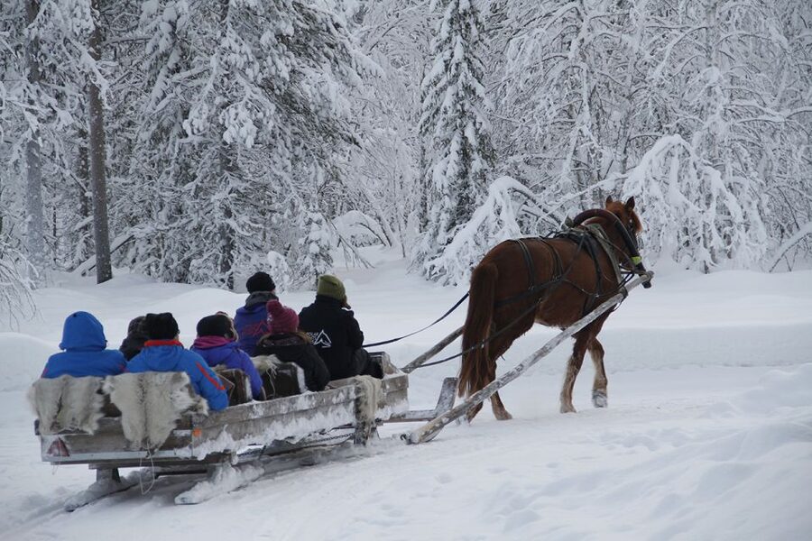 Levi, Polar Lights Tours: One Horse Open Sleigh Ride - Five minutes to get comfortable and safe