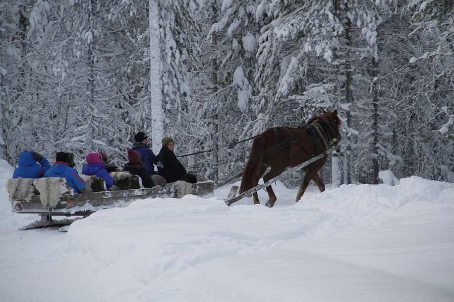 Levi, Polar Lights Tours: One Horse Open Sleigh Ride - The northern lights are a bonus, not the product