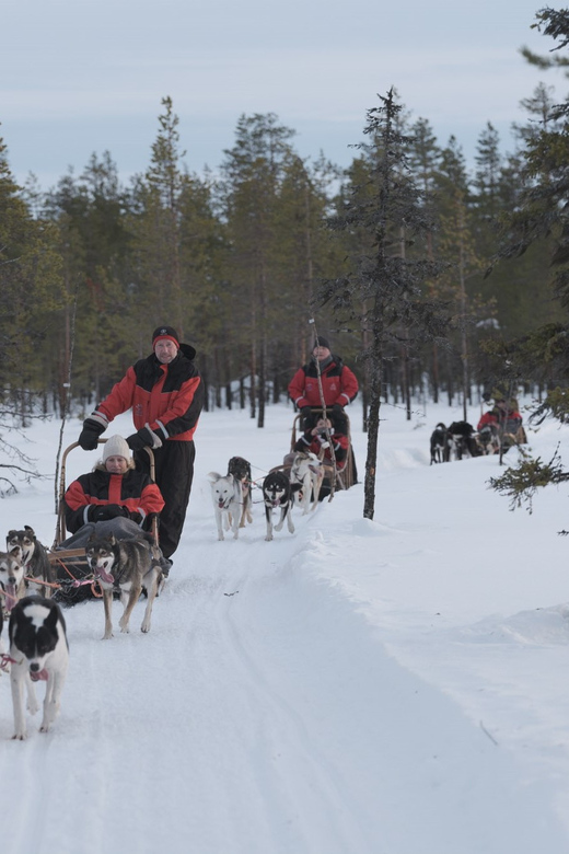 Levi Polar Lights Tours: Path of the Gnome Husky Safari 15km - Key points to know before booking