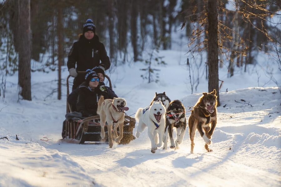 Levi Polar Lights Tours: Path of the Gnome Husky Safari 15km - A 15 to 18 km ride through snowy Lapland