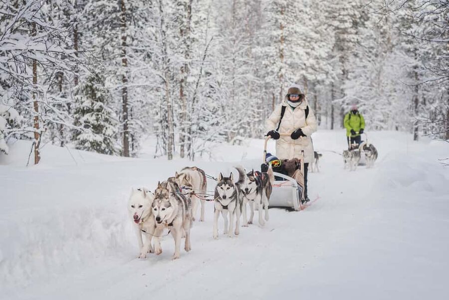 Levi Polar Lights Tours: Path of the Gnome Husky Safari 15km - Safety instructions make the sled easy to handle